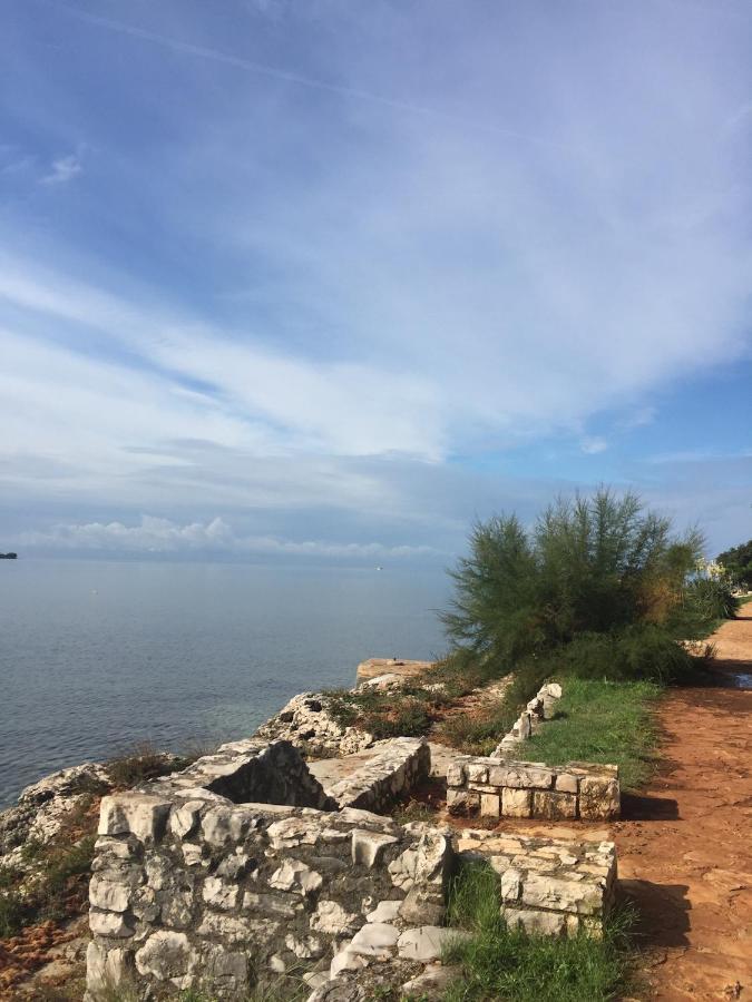 Villa Eva Karigador Novigrad Istria Buitenkant foto
