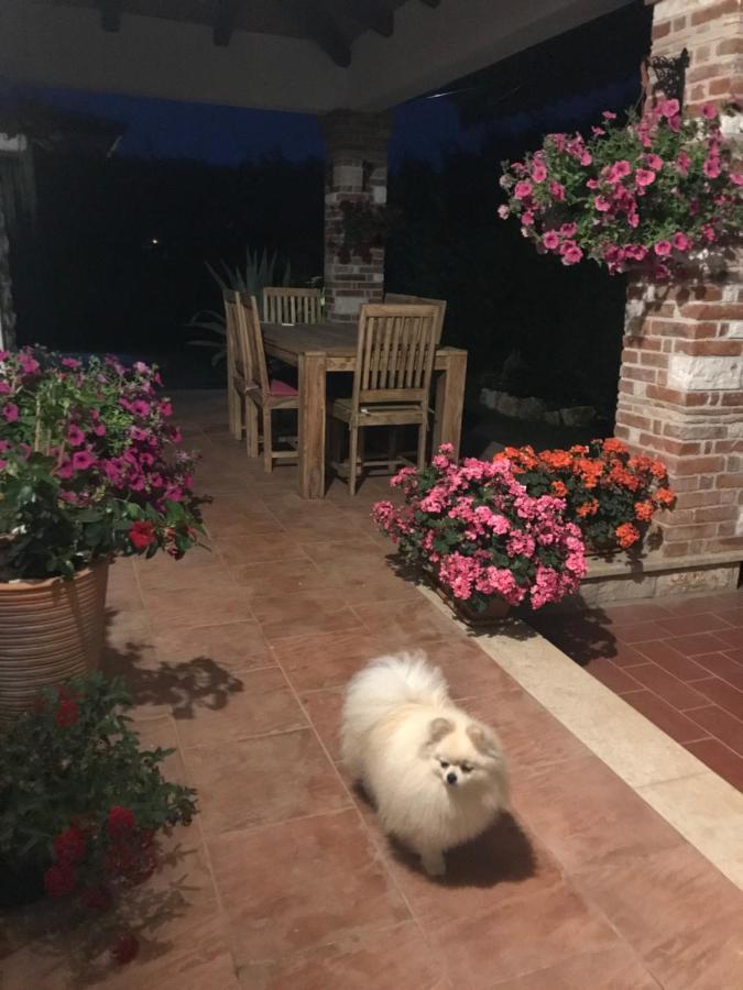 Villa Eva Karigador Novigrad Istria Buitenkant foto