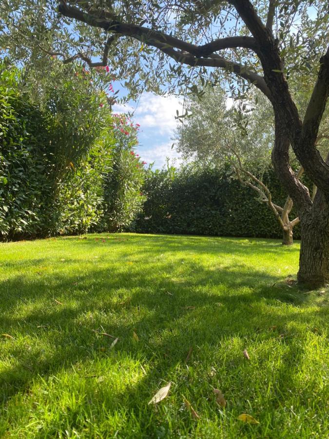Villa Eva Karigador Novigrad Istria Buitenkant foto